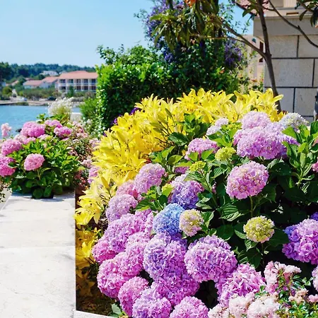 شقة By The Sea Lumbarda, Korcula - 3554