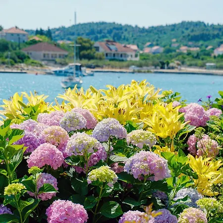 By The Sea Lumbarda, Korcula - 3554 *