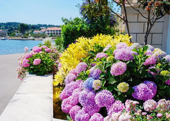 Apartman By The Sea Lumbarda, Korcula - 3554